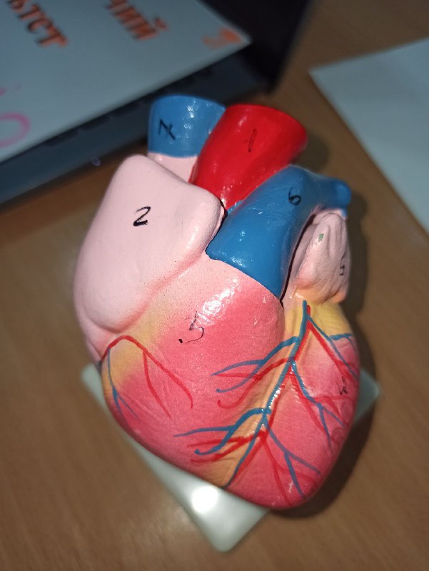 3ffa4956-9065-4618-9819-a76ec63a1f8f