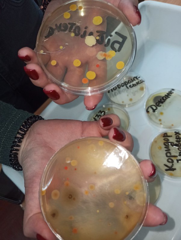 7389bdc8-eec0-4d34-8771-c06e720da654