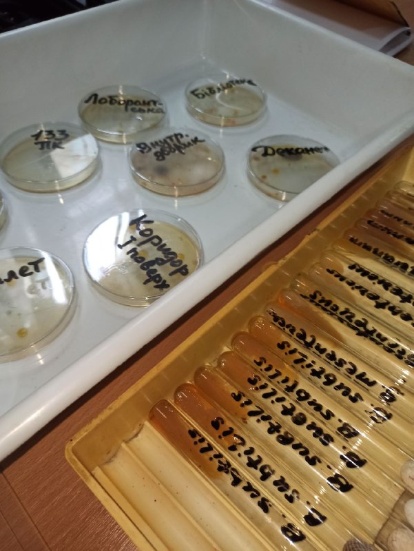 8c91495b-efe3-4b56-b655-7270b35d6ace