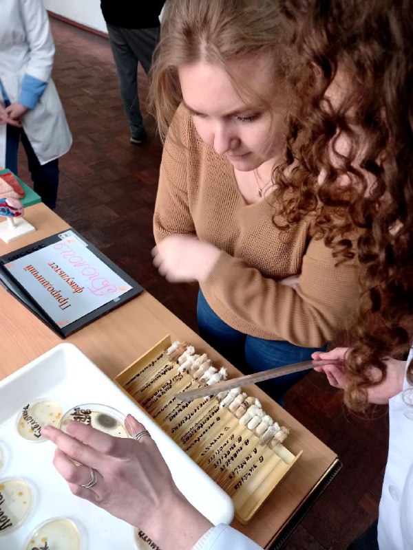 d14dae7e-16e8-464d-a5d8-ff2f4162e76b