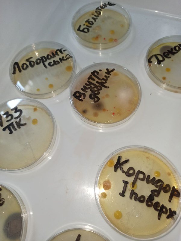 f87d6117-92ce-4a7c-8b80-4ff99672eb50